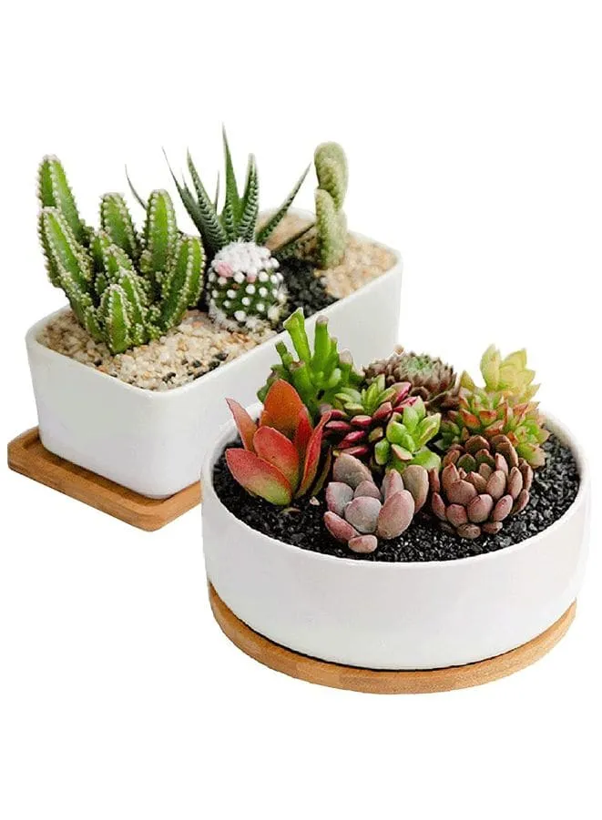 White Ceramic Indoor Plant Pots with Bamboo Tray, 1 Rectangle Pot   1 6.5 Inch Round Cactus Pot Set (Plants NOT Included)