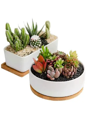 White Ceramic Indoor Plant Pots with Bamboo Tray, 1 Rectangle Pot   1 6.5 Inch Round Cactus Pot Set (Plants NOT Included)
