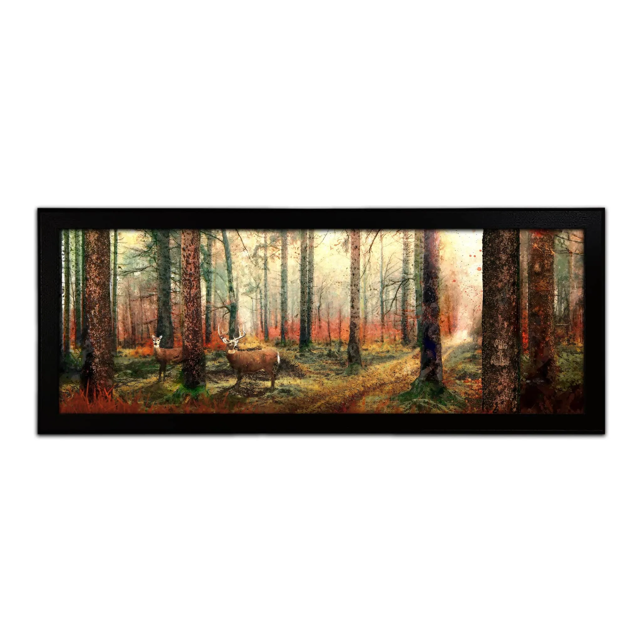 Whitetail Forest 2